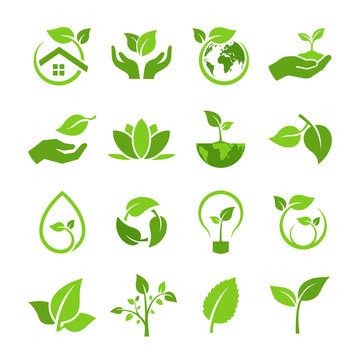 DFFE – Thabo Mofutsanyana Municipality: Environmental Awareness Vacancy